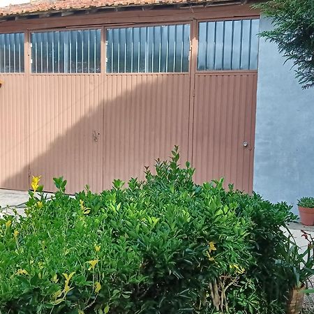 קאנטנהדה Casa Da Vovo Ceu - Casa De Campo Gandaresa - Country House, Entre Coimbra E Aveiro, A 15 Minutos Carro Praia Mira - Quintal Com Piscina Insuflavel מראה חיצוני תמונה